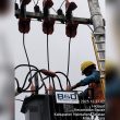 PLN ULP Bacan Tambah Pengaman Jaringan untuk Cegah Gangguan Listrik