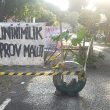 Pemuda Guraping “Bikin Kebun” di Jalan Rusak, Sindir Pemprov Maluku Utara
