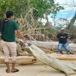 Abrasi Hancurkan Fasilitas Wisata Pulau Tabailenge Morotai, Butuh Penanganan Segera Pemerintah