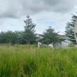Festival Morotai Tinggal Hitungan Hari, Lokasi Belum Siap