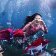 Gubernur Cantik Curi Perhatian, Kibarkan Merah Putih di Laut Pakai Kostum Mermaid