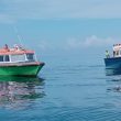Harita Nickel Rutin Uji Sampel Air di Pulau Obi