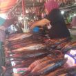 BBM Naik, Harga Ikan Fufu di Pasar Ternate Meroket!