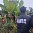 Mayat Pria Tanpa Busana Ditemukan di Gubuk Tengah Kebun Joubela, Morotai