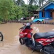 Breaking News: Ratusan Rumah di Desa Sumber Makmur Halmahera Selatan Terendam Banjir