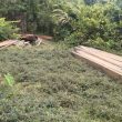 Illegal Logging di Gane Halmahera Selatan Kian Marak, Aparat Didesak Bertindak