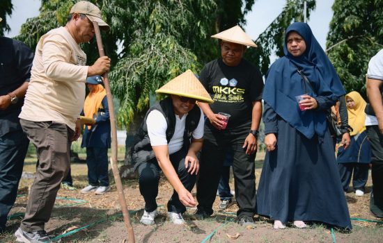 SMK 3 Tidore Panen Jagung, Kadikbud Maluku Utara Tegaskan Arah Pendidikan Kejuruan
