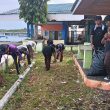 Pramuka Morotai Gelar Bakti Sosial Lingkungan Jelang Jambore Nasional