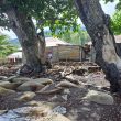 Abrasi Ancam Permukiman Warga Rua Ternate, Masyarakat Minta Bantuan Gubernur Sherly