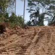 Warga Wedana Halmahera Tengah Protes, Lahan Dibongkar Tapi Ganti Rugi Belum Dibayar