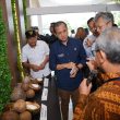 Mentrans Dorong Maluku Utara Jadi Pusat Industrialisasi Kelapa Nasional