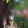 Polisi Selidiki Penemuan Perempuan Muda Tewas di Pantai Fritu Halmahera Tengah
