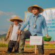BI dan Pemkab Halmahera Timur Perkuat Sektor Pertanian Demi Ketahanan Pangan Daerah