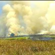 Kebakaran Puluhan Titik, Damkar Morotai Terkendala Armada dan Personel