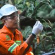 Ratusan Spesies Terdata, WBN Ungkap Kekayaan Hayati Tersembunyi Halmahera