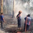 Tiga Kebakaran Terjadi Beruntun, Satpol PP-Damkar Morotai Bergerak Cepat