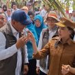 Gubernur Sherly Kenalkan Minyak Cengkeh Hiri ke Wamen Kehutanan: Nanti Bawa Pulang!