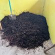 Sampah Pasar Morotai Diolah Jadi Pupuk Kompos, Kurangi Beban TPA
