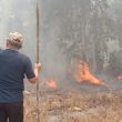 Tinjau Karhutla Sulamadaha, Wali Kota Tauhid Minta Siapkan Posko Kesehatan dan Bak Air